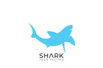 shark isolated on white background