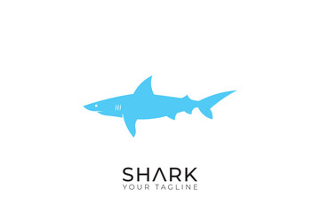 shark isolated on white background