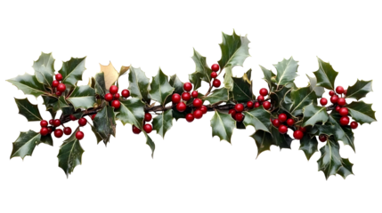 Holly Sprig with Red Berries Isolated on White