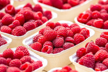 Bright red, fresh raspberries neatly packed in small containers. The vibrant color and juicy texture highlight their freshness, making them perfect for healthy snacking, desserts, and smoothies