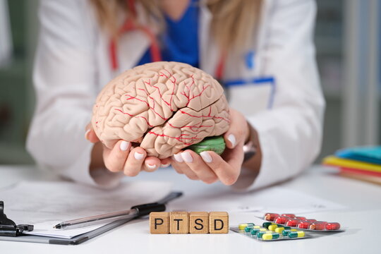 Discover and explore the intricate connection between PTSD, brain function, and various treatment options