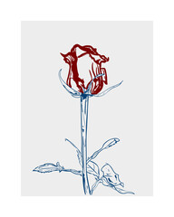 Minimalist Dual-Tone Rose Hand-Draw Illustration