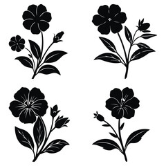 Set of black silhouettes of Evening Primrose flowers and leaves on a white background