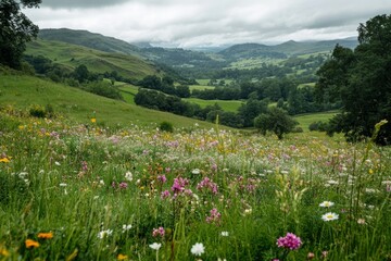 Fototapeta premium wildflower-strewn valley, showcasing the vibrant colors of the wildflowers against the verdant backdrop of the valley
