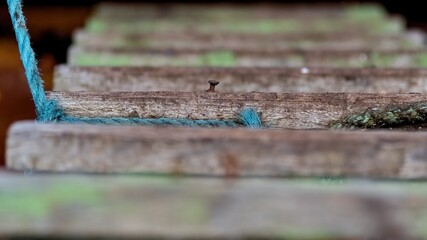 Dangerous nail. Close-up. Ship's ladder. Selective focus.