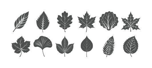 Vector arts of leaves