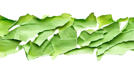 Abstract torn green paper texture with overlapping layers