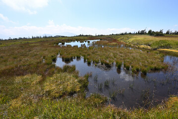 Climbing  Mount Naeba, Niigata, Japan