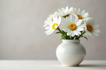 Fresh white daisies in a delicate ceramic vase, flowers, garden, vases