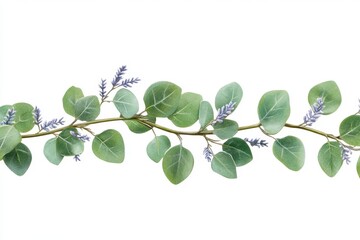 Obraz premium Elegant Botanical Illustration of Green Leaves and Purple Flowers