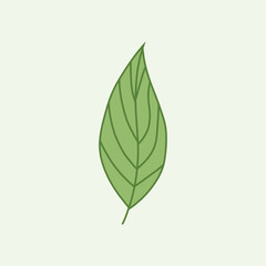 green leaf icon, vector illustration.