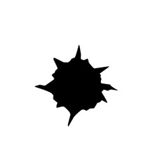 Black Gunshot Holes 