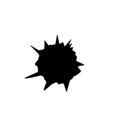 Black Gunshot Holes 
