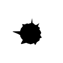 Black Gunshot Holes 