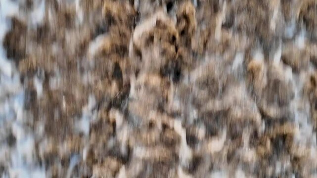 Sea wave video clip.  Ocean vawe 4k video. Travel coast vacation beach video.