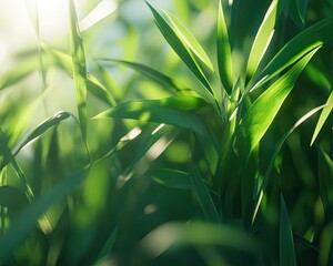 A close-up of a vibrant green bamboo plant, with sunlight filtering through the thin leaves. The light creates intricate patterns on the bamboo, adding depth and texture to the scene.