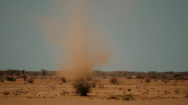 Typical savannah vegetation under hot sun and column of sand whirlwind against blue sky. Shrubs and low trees in landscape with dust devil
