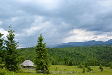 Obraz premium Mountain landscape with wooden house and fir trees on a cloudy day