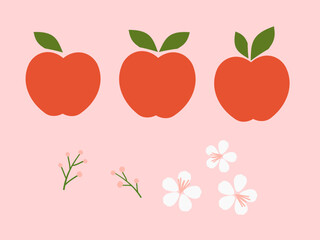 Set of apple with green leaves, white flower and cute branch icon signs on pink background vector.