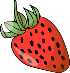 Illustration of a hand drawn colored strawberry, a summer berry