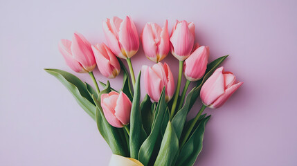Fototapeta premium tulip, flower, spring, pink, bouquet, tulips, isolated, nature, flowers, blossom, beauty, bunch, floral, white, bloom, easter, red, flora, plant, petal, leaf, beautiful, purple, garden, gift