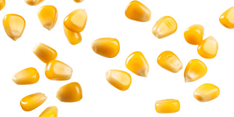 Realistic flying corn grains cut out on a transparent and white backdrop