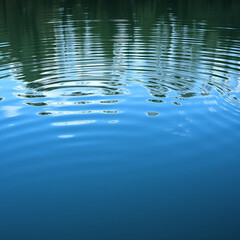 Calm Water Reflection