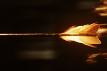 Fototapeta premium Flaming Arrow in Motion with Stunning Lighting Effects