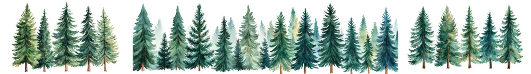 Obraz premium Majestic Evergreen Forest Landscape with Towering Pine and Spruce Trees in Serene Wilderness Peaceful tranquil and untouched natural environment perfect for outdoor activities like camping hiking