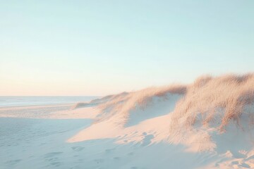 Fototapeta premium Sand dunes on the beach at sunset