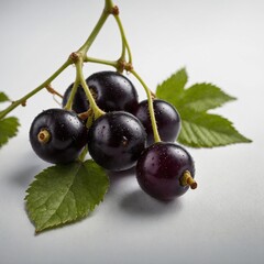 "A single ripe blackcurrant with a small leaf attached, isolated on a pure white background."