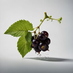 "A single blackcurrant with a fresh green leaf attached, floating on a white background."
