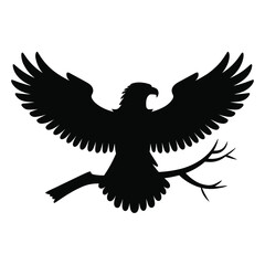 Fototapeta premium Eagle Silhouettes