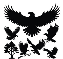 Obraz premium Eagle Silhouettes