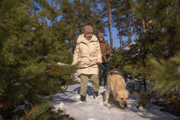 Senior woman walking a Golden Retriever in a snowy pine forest on a sunny winter day, enjoying nature and outdoor activity.