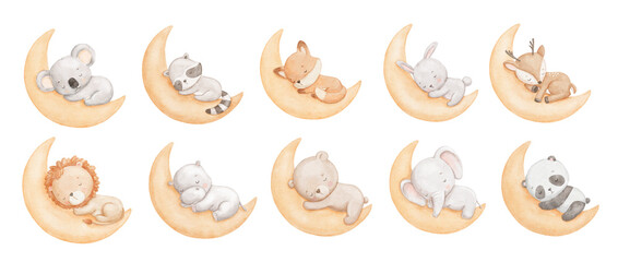Watercolor cute bear, elephant and fox sleeping on moon, watercolor hand draw illustrations set for kids, woodland animals, painted drawing with isolated background