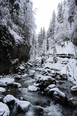 stream in the mountains