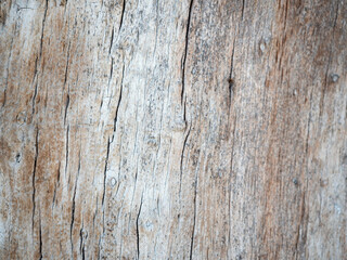 Close up wood pattern and  texture for nature Background.