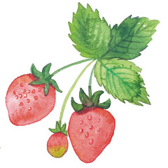 strawberry with leaves