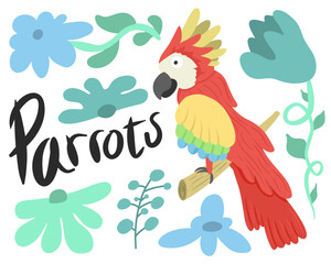 Bird Illustration Poster Design Ford Kids