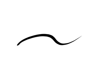Wavy black ink brush stroke with smooth curves on white background