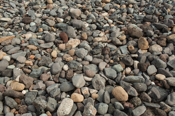 Close-Up of Pebbles and Rocks on a Shoreline