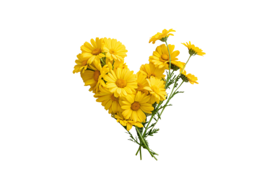 A loosely gathered bouquet of yellow daisies forming a heart shape, with stems still attached, exuding natural beauty and liveliness, isolated on a transparent background - Powered by Adobe