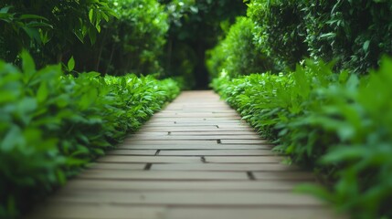 pathway through a village surrounded by lush greenery, simple and serene,