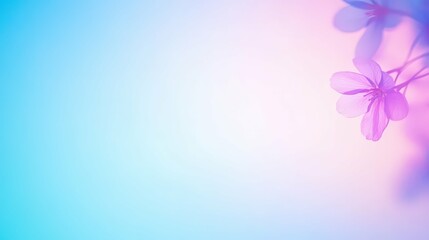 floral composition with purple and pink flowers on a light gradient background, harmonious and elegant,