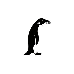 Fototapeta premium Penguin Vector Logo Design