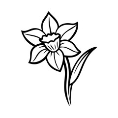 Daffodil icon blooming in spring, floral beauty concept