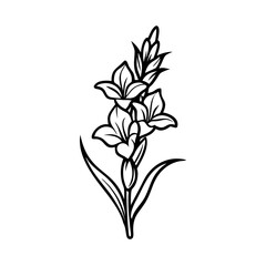 Gladiolus flower icon in bloom, floral beauty concept