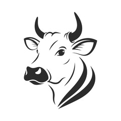 black and white cow