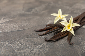 Vanilla pods on a textured background. Vanilla flowers and seeds. vanilla stick bean. Aromatic spicy spice for pastries and desserts. Seasoning. Space for text. Copy Space